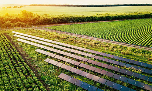 Fintech lança linha para sistemas agrifotovoltaicos
