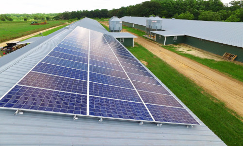 Granjas catarinenses vão implantar usinas solares