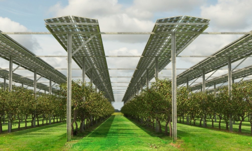 Minas Gerais vai desenvolver projeto agrivoltaico