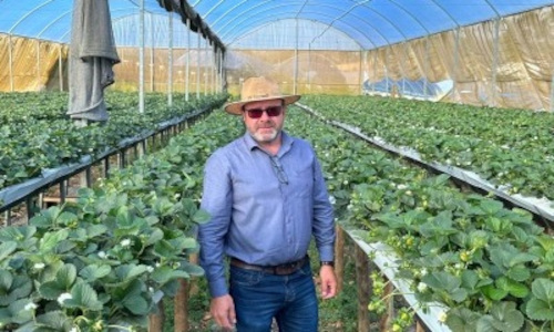 Solar com baterias reduz em até 80% custos de indústria em MG